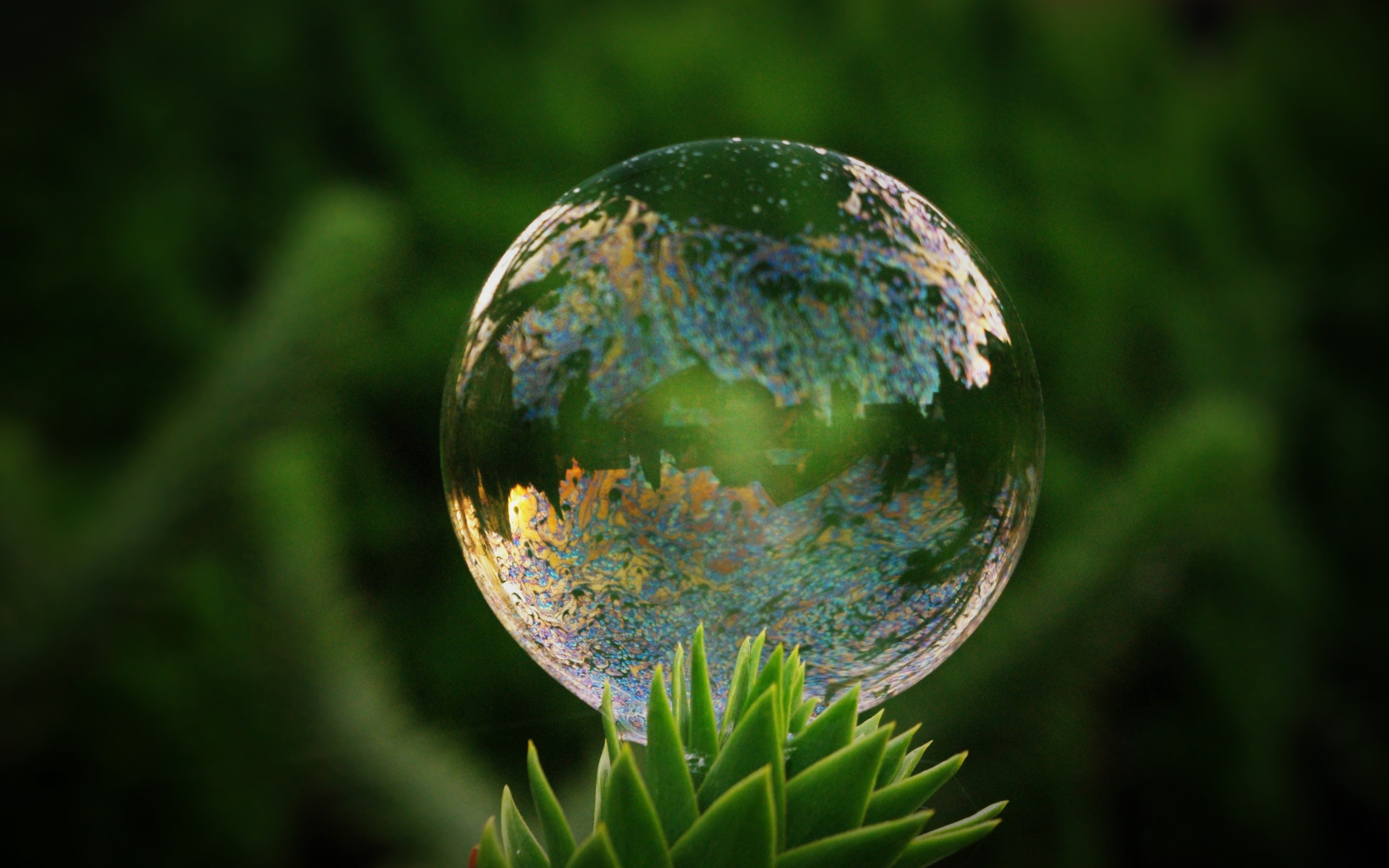 29 – How to Stop Absorbing Everyone’s Energy (and Finally Feel Like Yourself Again as a Healer)