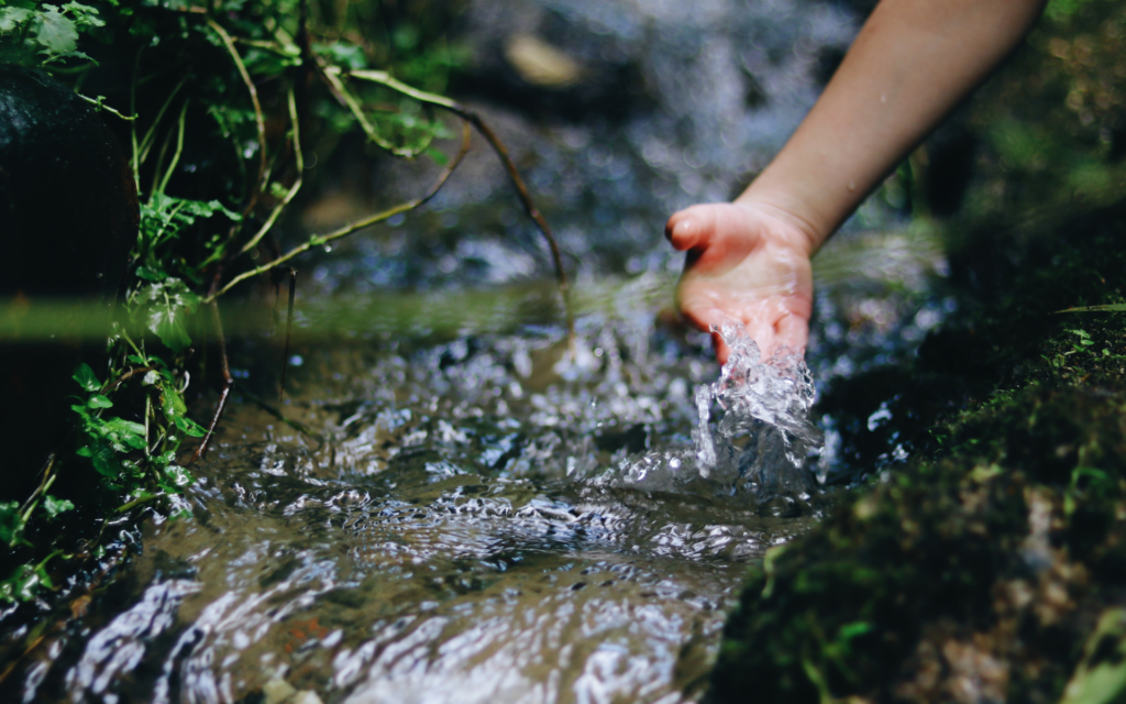 What If You’re Not Behind? Reclaiming Your Healing Path & Timeline as a Sensitive Healer